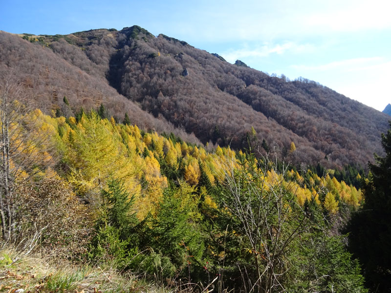 Cima Paln -Soglio dell'' Incudine.......Pasubio